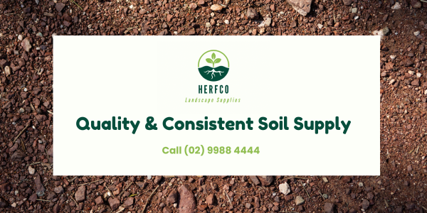 Why Quality Soil Matters for Your Next Landscaping Project?