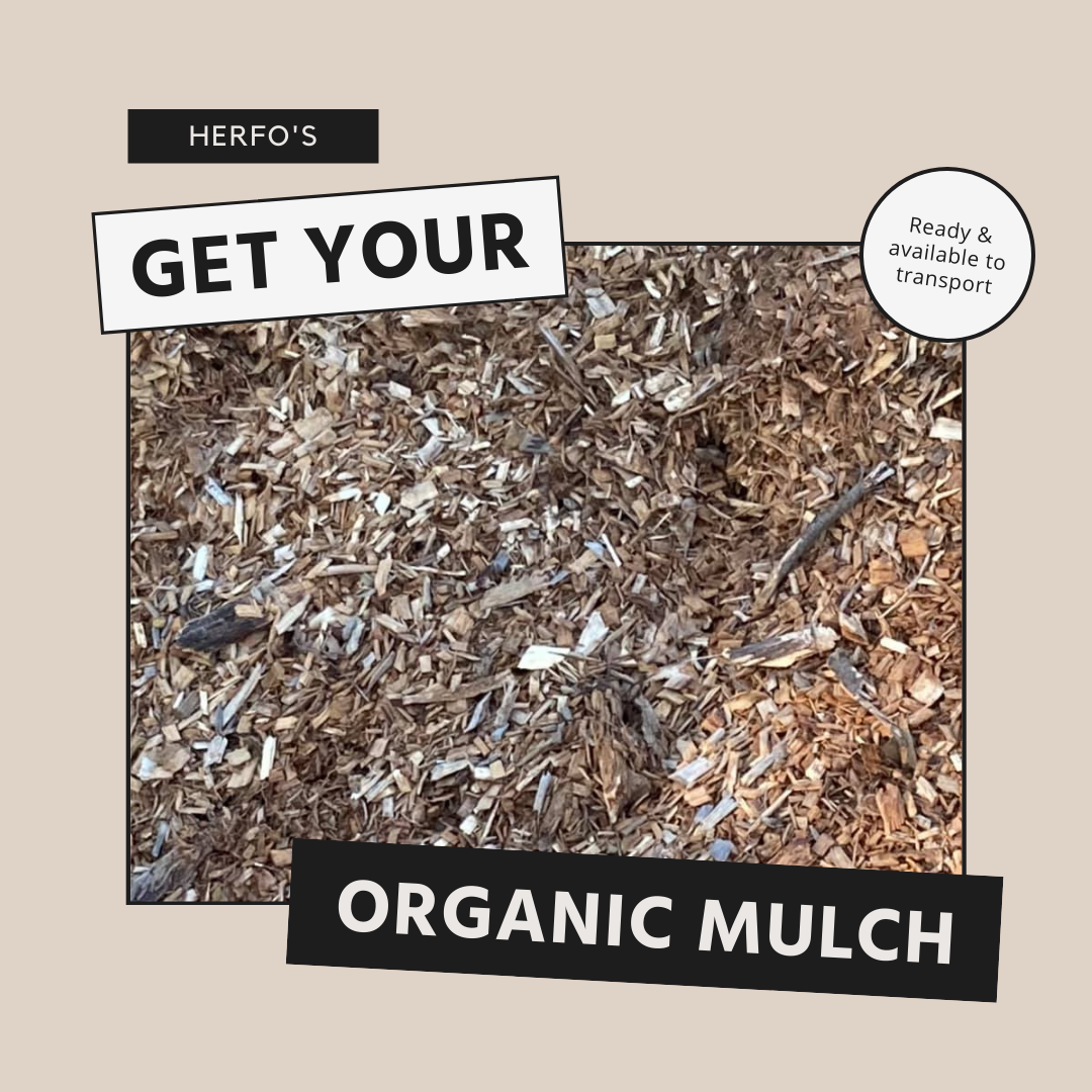 Australian Eucalyptus Mulch (25mm) Landscape Supplies Sydney Herfo