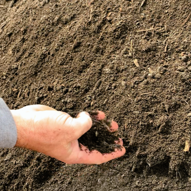 Coffee Compost Soil